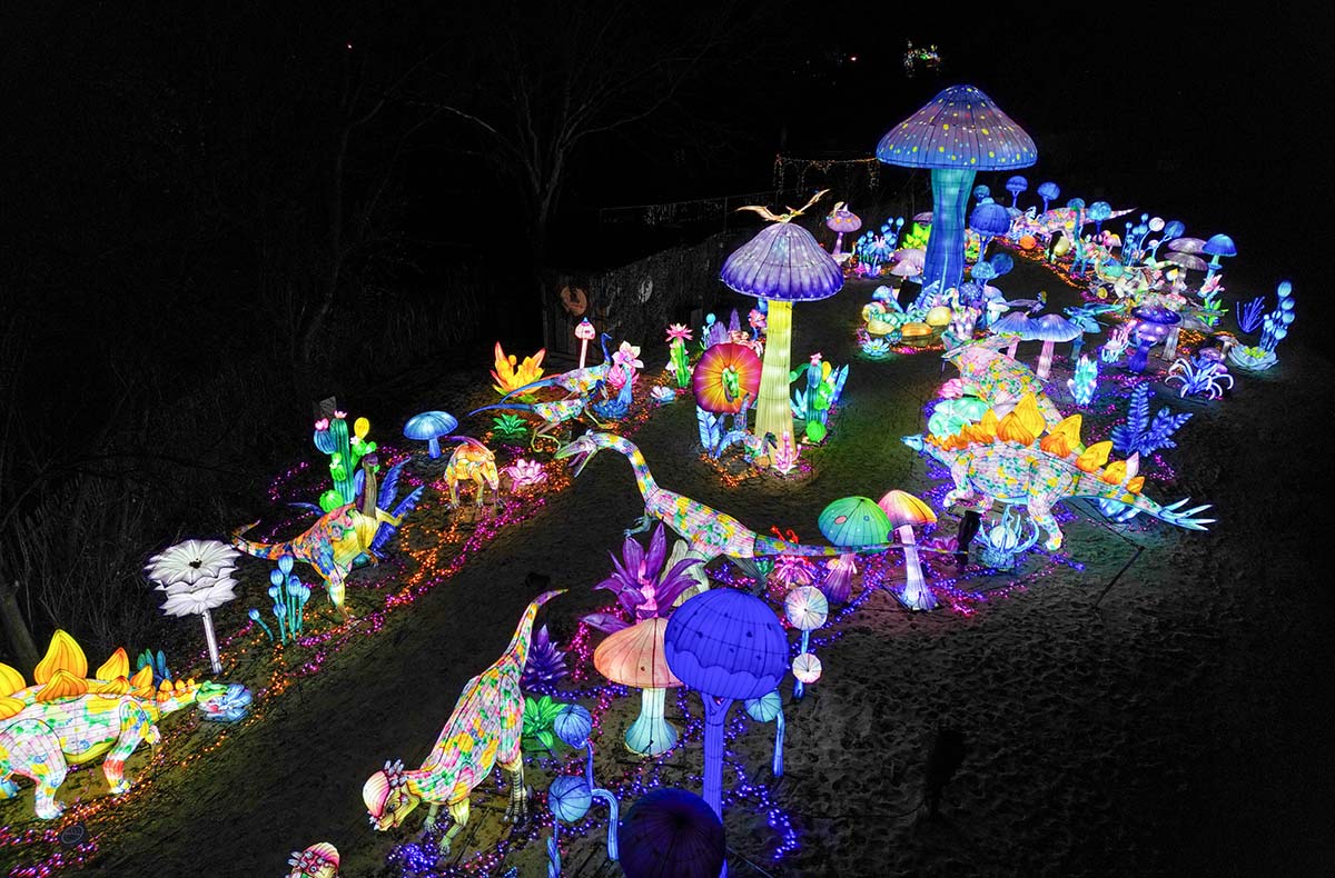 Lichterfestival mit Übernachten im Serengeti-Park für 2 (1 Nacht)