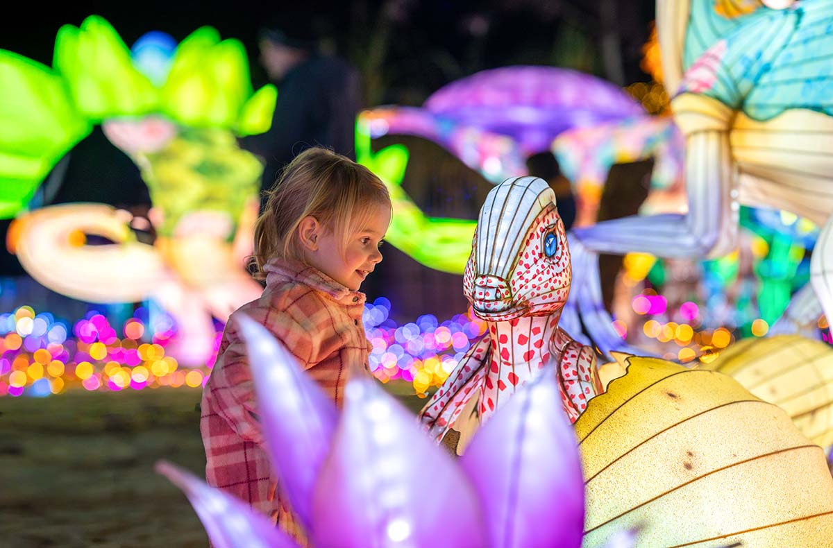 Lichterfestival mit Übernachten im Serengeti-Park für 2 (1 Nacht) in Hodenhagen