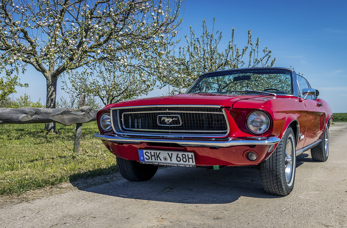 Ford Mustang Oldtimer mieten (1 Tag)