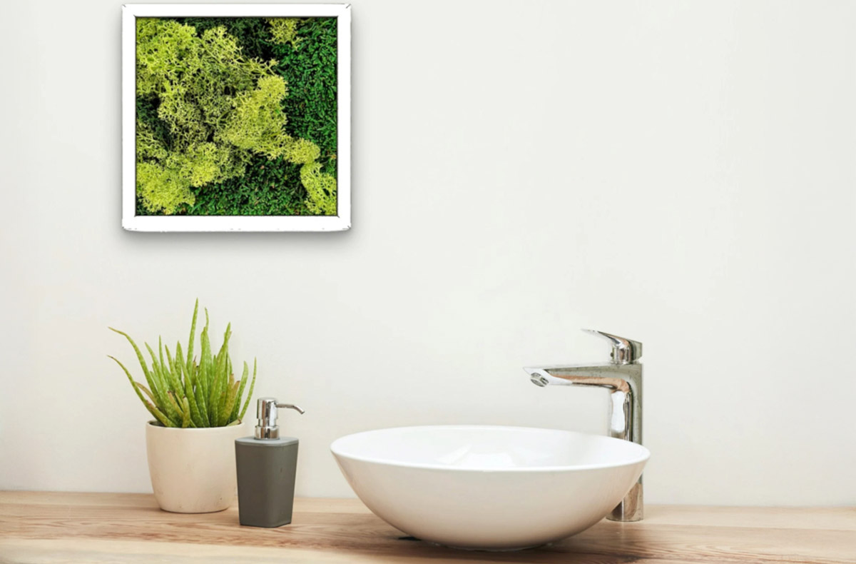 Moosbilder selber machen Solingen - Natur trifft Kunst: Gestalte dein eigenes Moosbild!