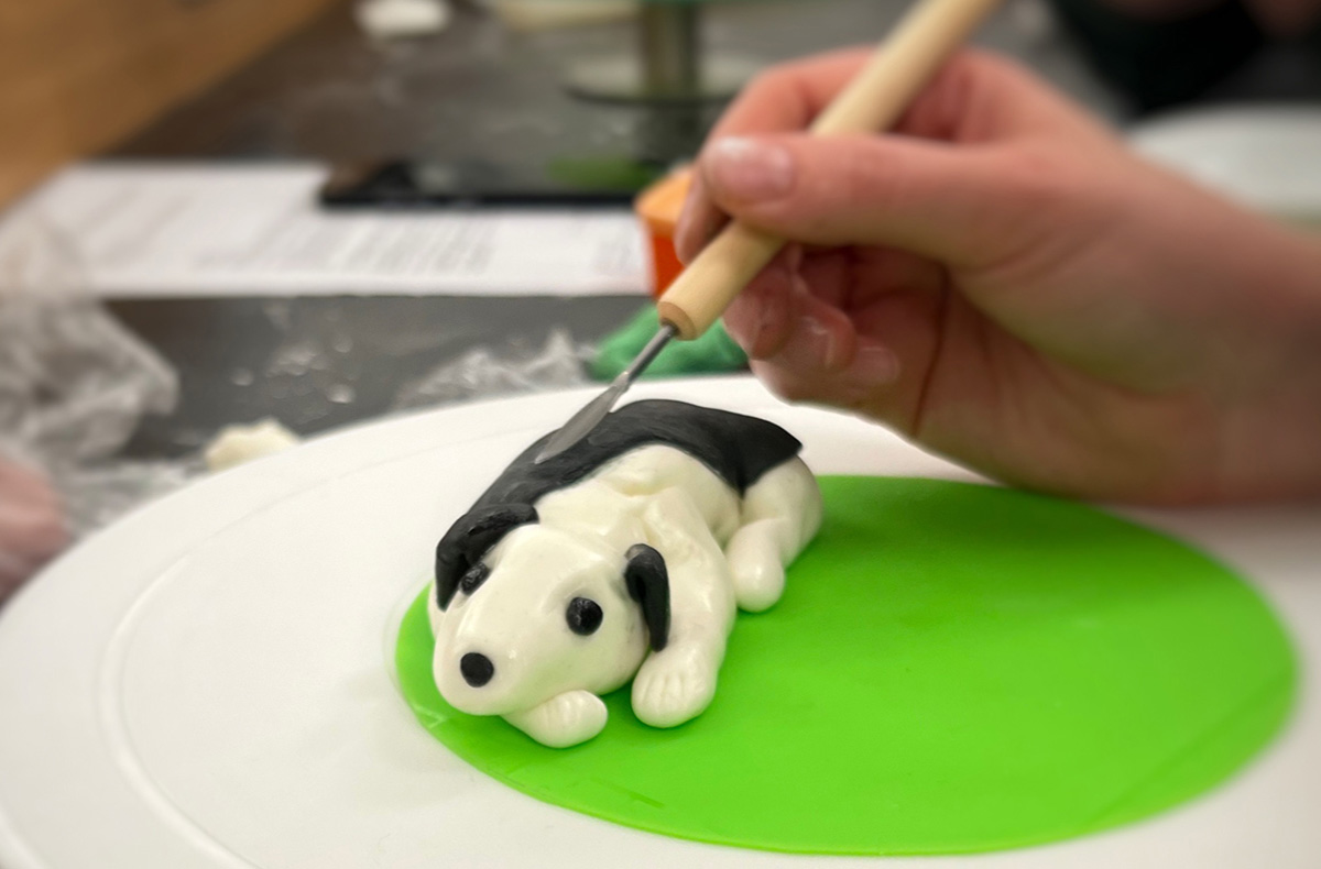 Motivtorten Kurs Mannheim 