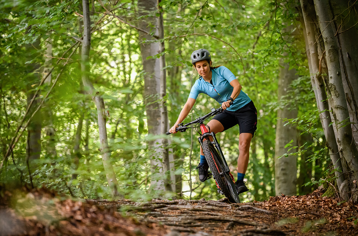 Mountainbike Kurs Basic – Jetzt kommen Mountainbiker richtig in Fahrt. in Boppard,Oberhof,Treis-Karden,Lengenfeld,Semmering,Wilsdruff-Limbach,Nideggen und weitere Orte!