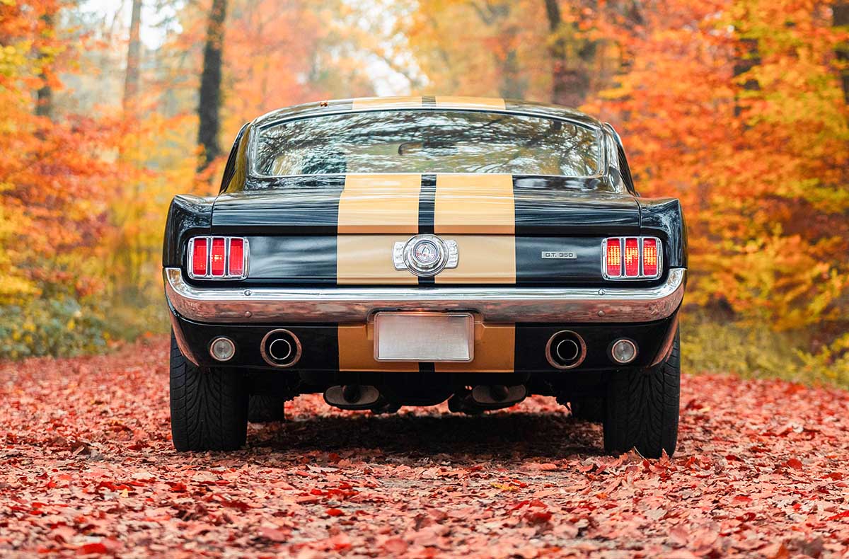 1966er Mustang Fastback fahren Hamburg (8 Std.)