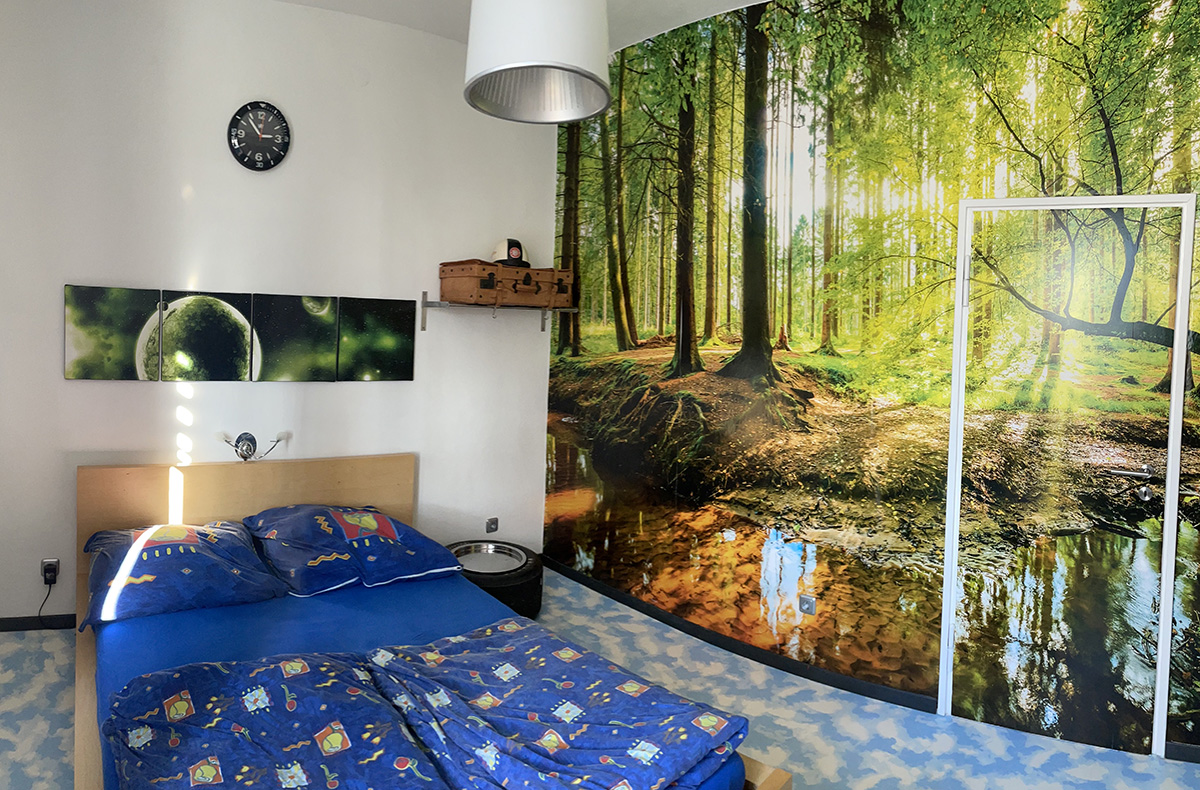 Mustang Oldtimer fahren in der Oberpfalz für 2 (1 Nacht)