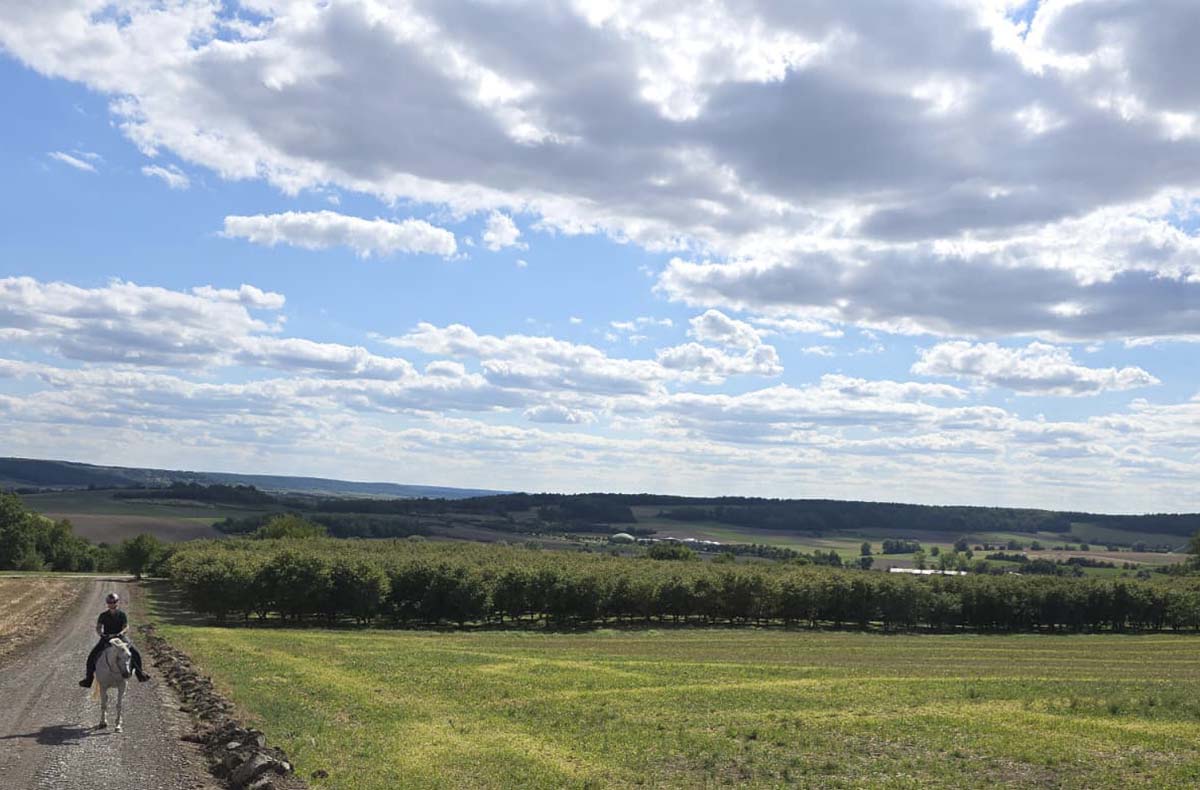 Outdoor Escape Game Langenfeld - Rätsel...