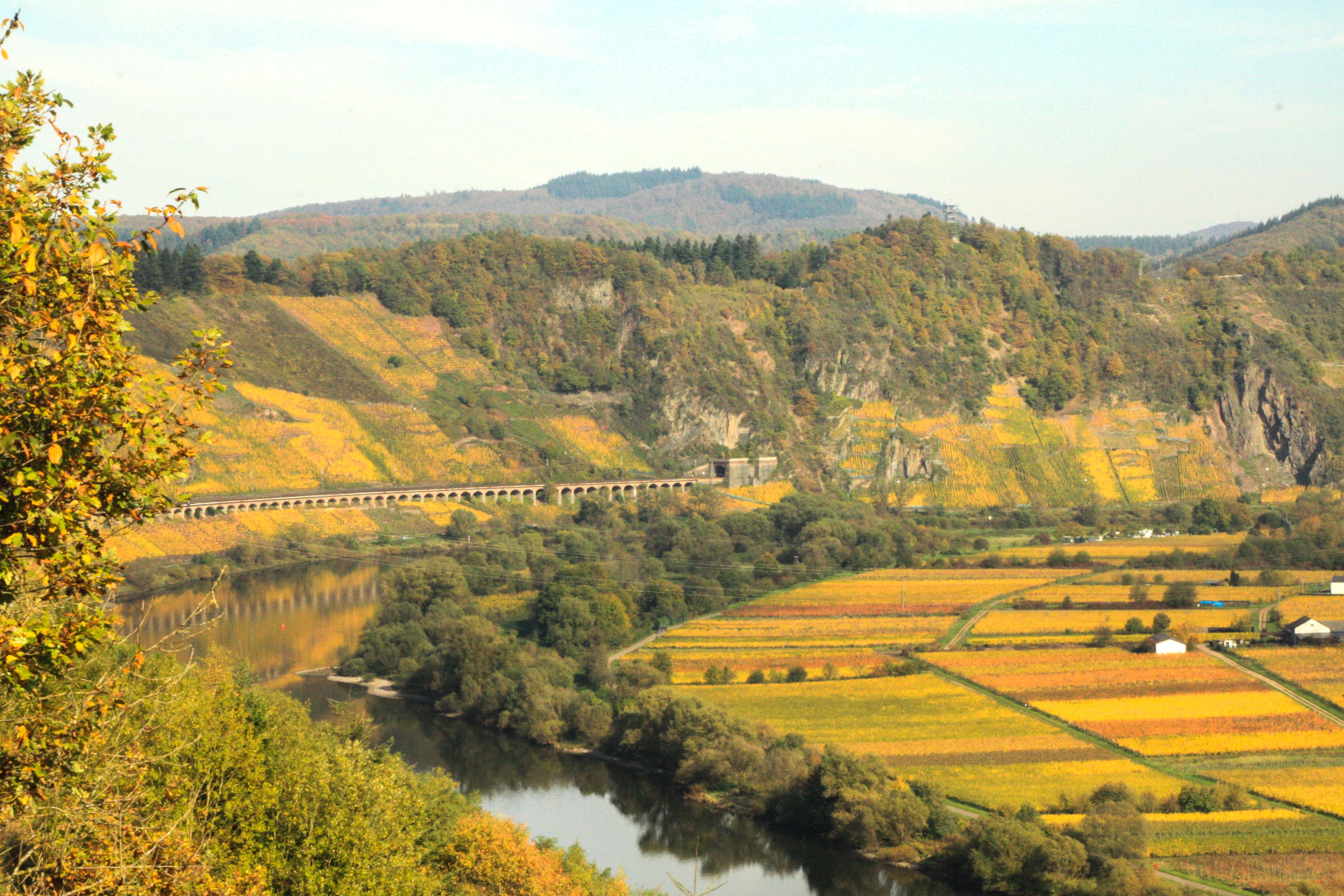 Planwagenfahrt mit Weinprobe Reil
