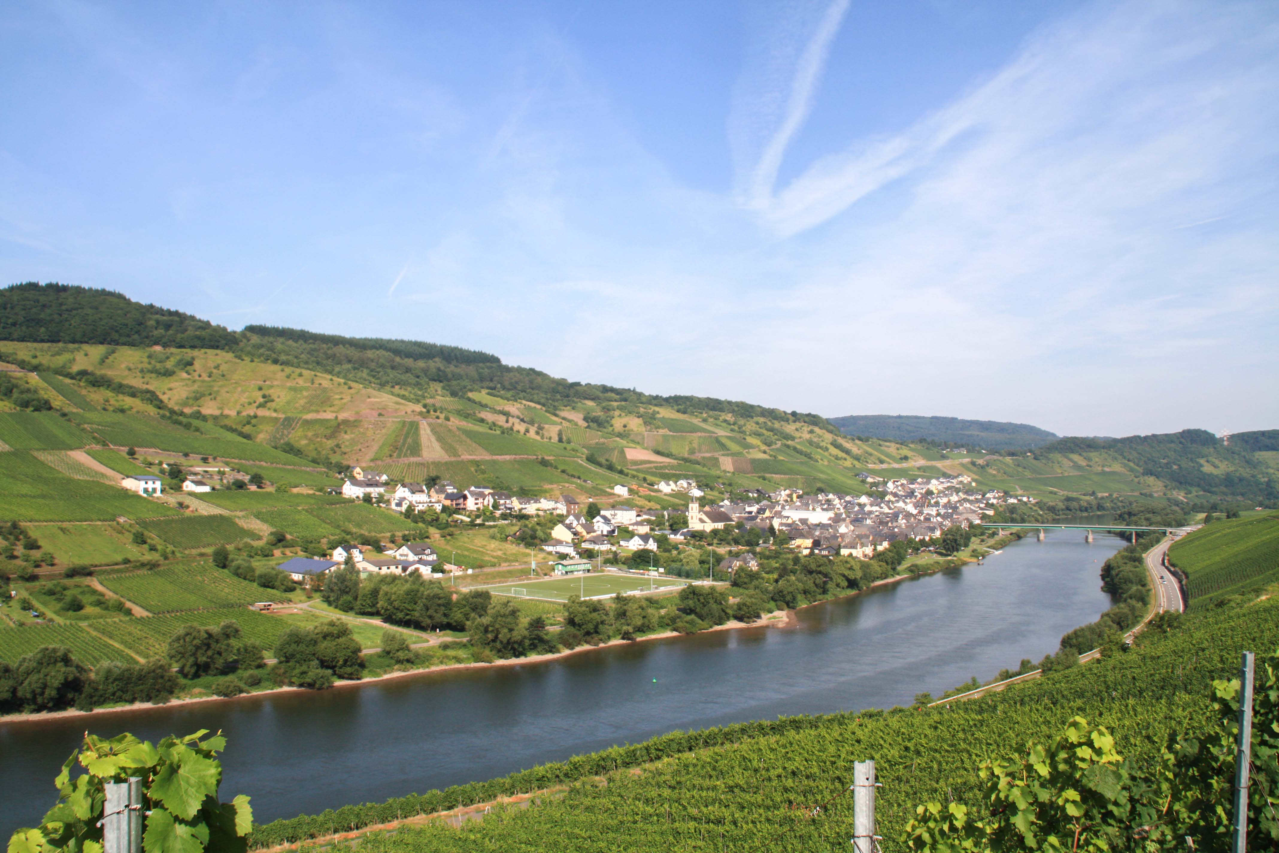 Planwagenfahrt mit Weinprobe Reil