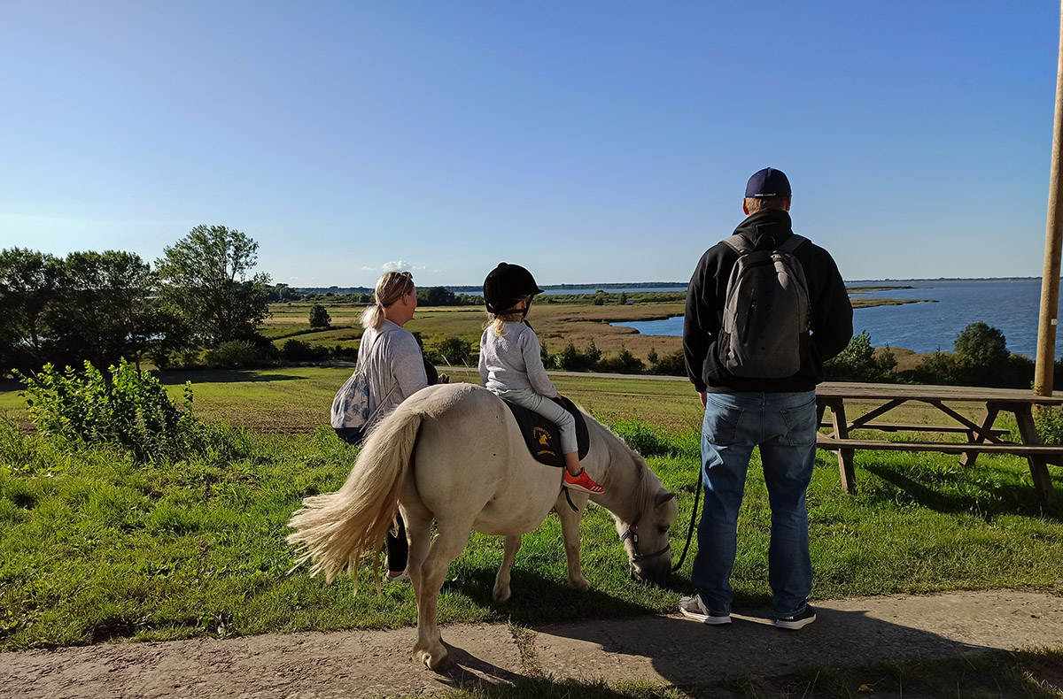 Pony Spaziergang Bad Doberan Pony Spaziergang Bad Doberan