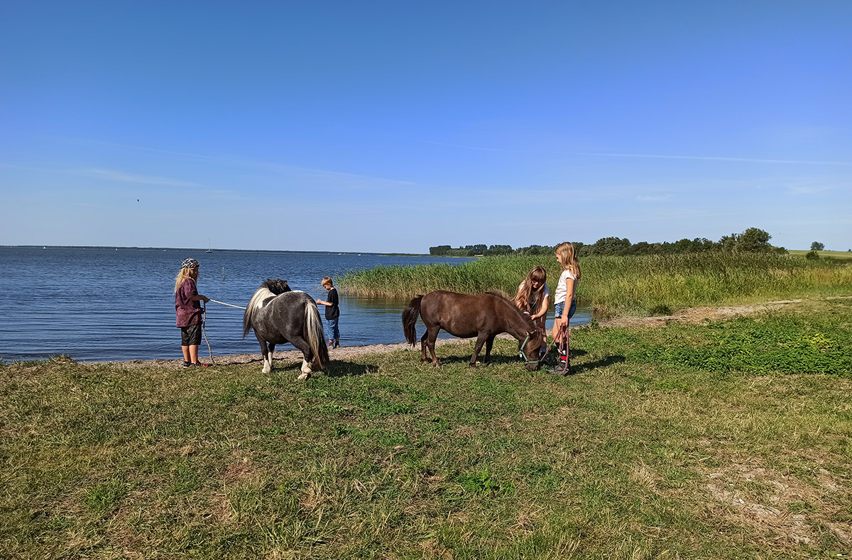 Pony Spaziergang Kuhlen-Wendorf