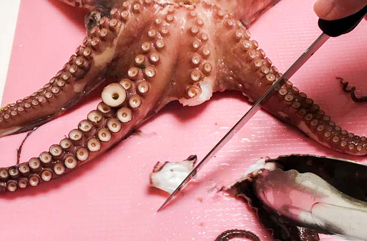 Portugiesisch Kochkurs Münster