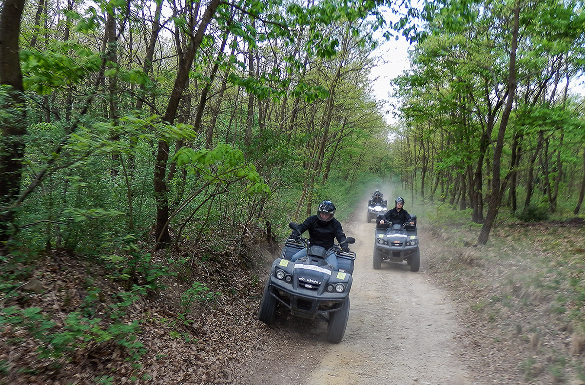 Quad Tour Siegendorf (2,5 Std.)