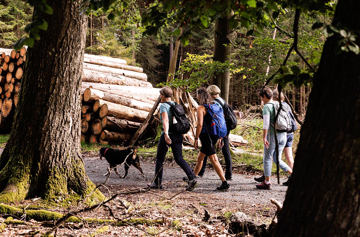 Quizwanderung Überwald Grasellenbach - Jetzt erleben!