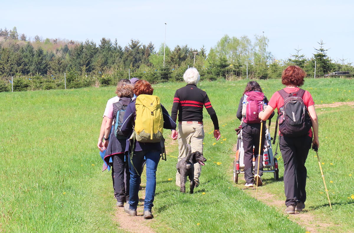 Quizwanderung Überwald Grasellenbach - Jetzt erleben!
