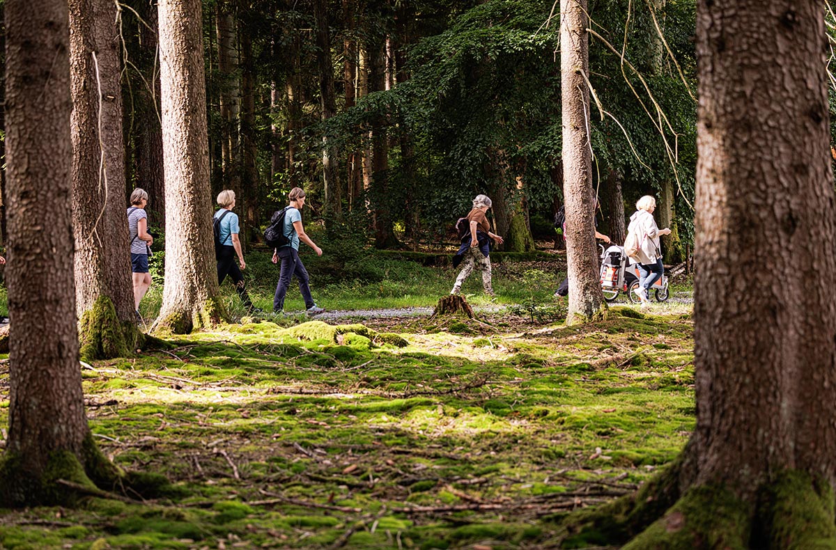 Quizwanderung Überwald Grasellenbach - Jetzt erleben!