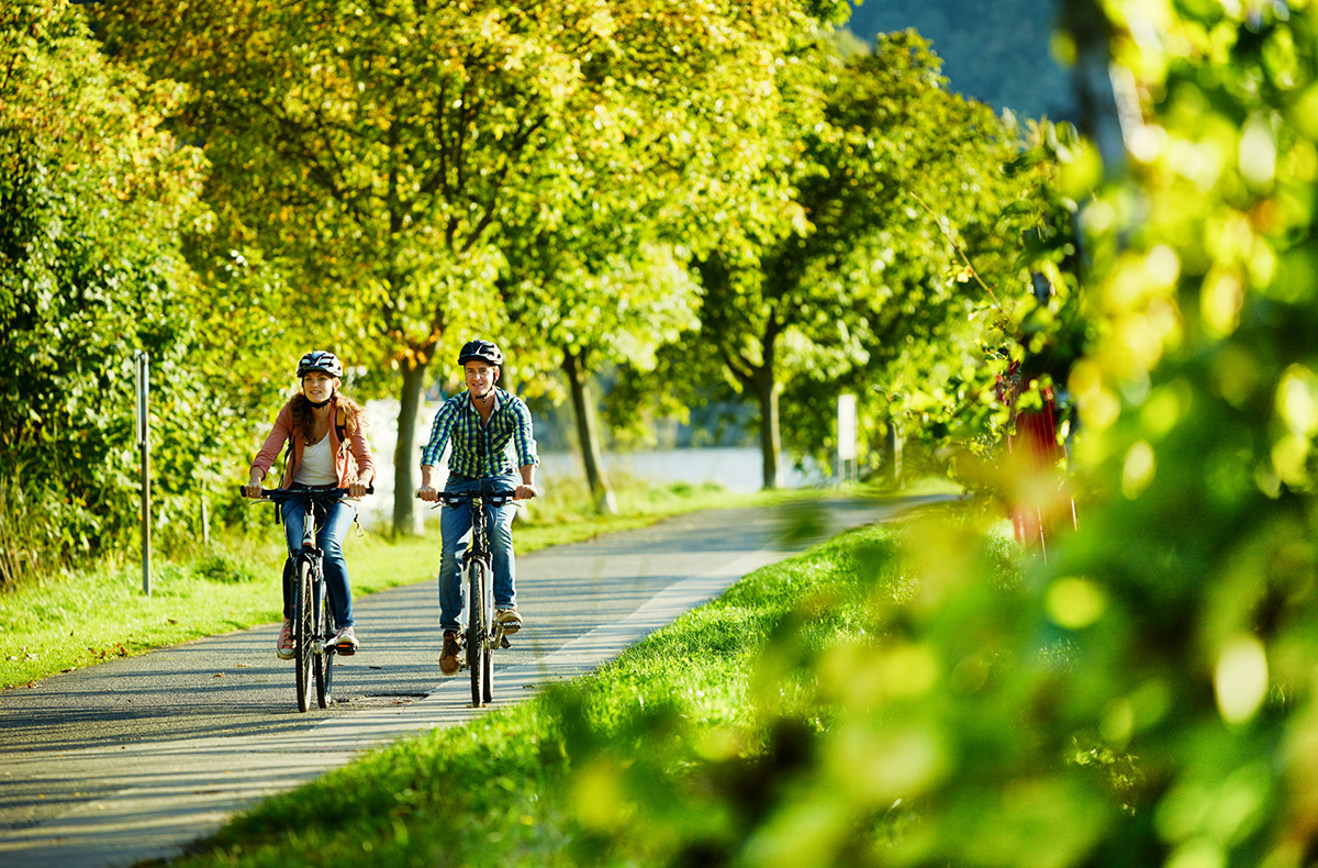 Radtour mit Schiff Bernkastel-Kues 