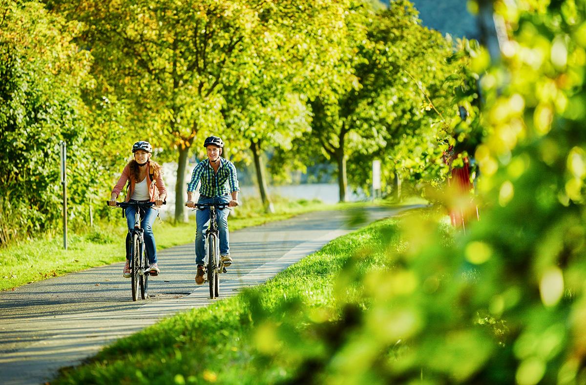 Radtour mit Schifffahrt auf der Mosel un...