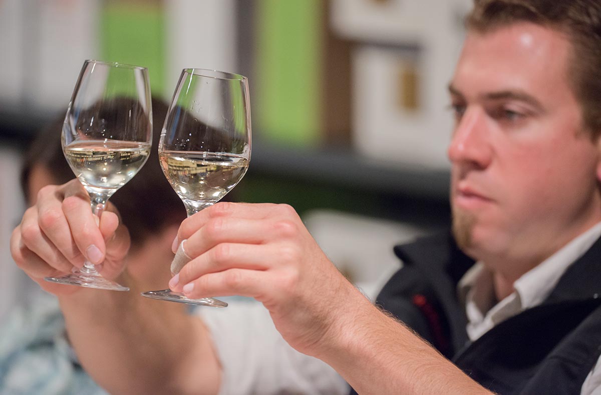 Rebsortenkurs mit Degustation Solothurn... Rebsortenkurs mit Degustation Solothurn...