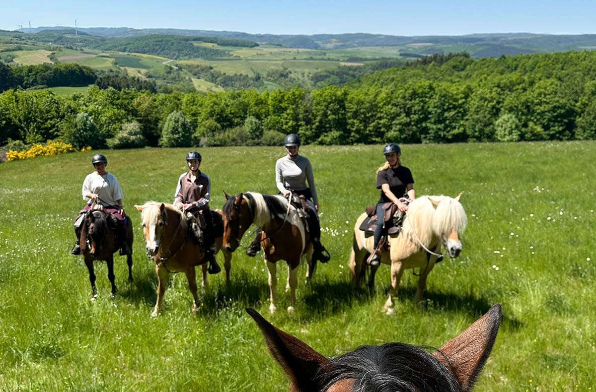 Reiten und Yoga mit Übernachtung Aschbach Reiten und Yoga mit Übernachtung Aschbach