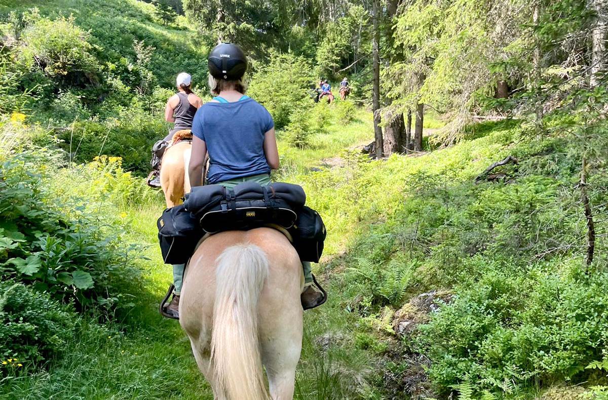Reiten und Yoga mit Übernachtung Aschbach Reiten und Yoga mit Übernachtung Aschbach