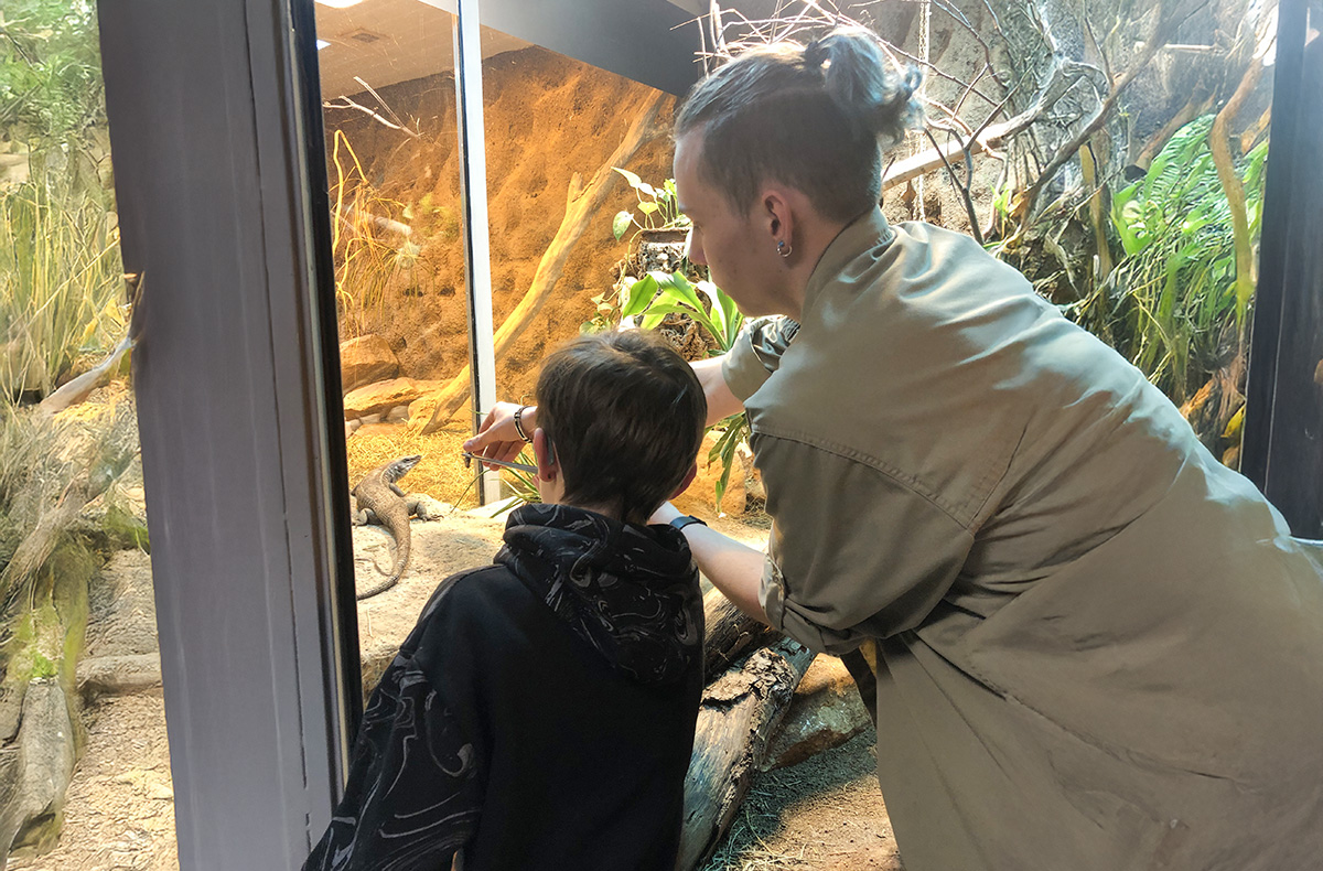 Tierpfleger Landau (Reptilien) - Reptili... Tierpfleger Landau (Reptilien) - Reptili...