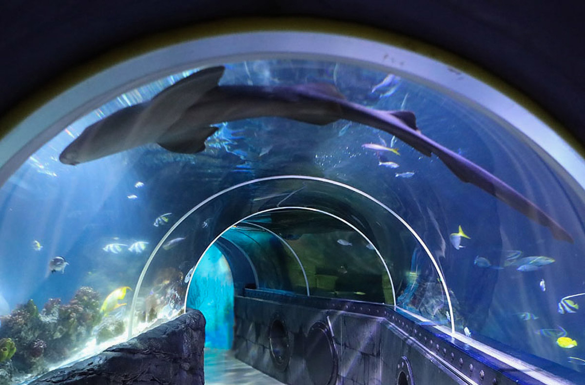Sea Life Konstanz (1 EW + 1 Kleinkind) Sea Life Konstanz (1 EW + 1 Kleinkind)