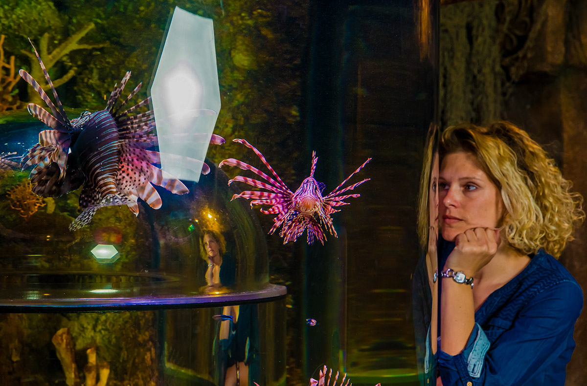 Sea Life München Sea Life München