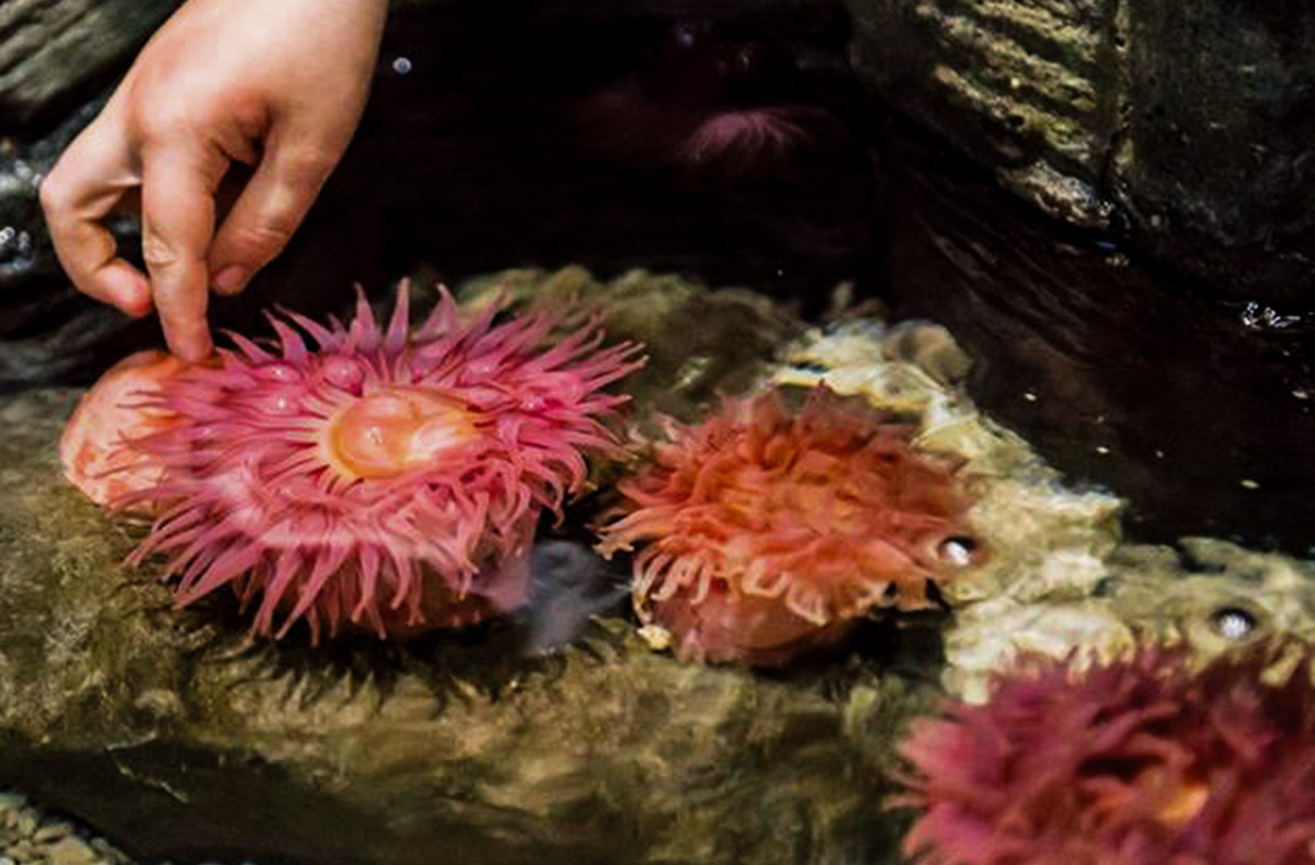 Sea Life München Sea Life München