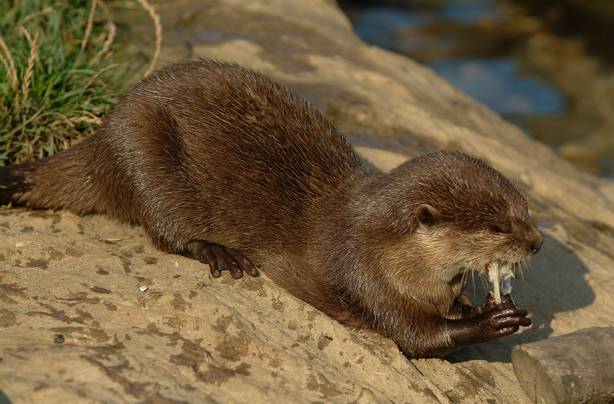 Sea Life Oberhausen 