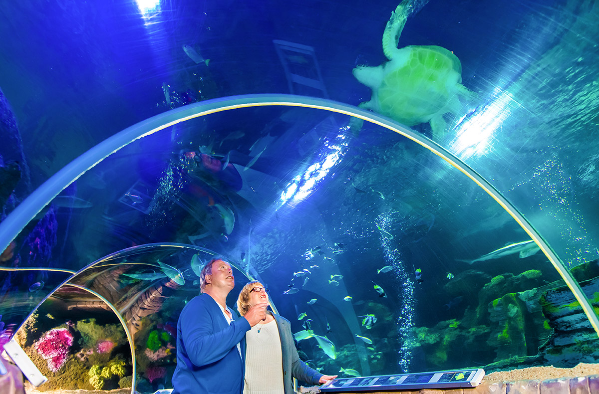 Ca. 3 Stunden Sea Life Timmendorfer Strand