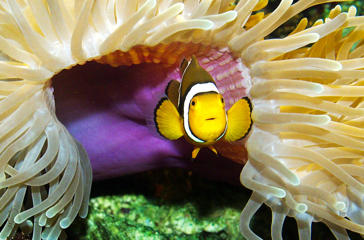 Ca. 3 Stunden Sea Life Timmendorfer Strand