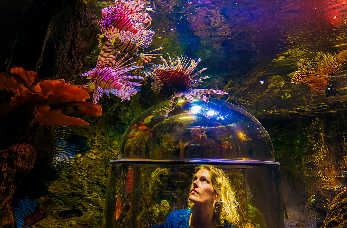 Ca. 3 Stunden Sea Life Timmendorfer Strand