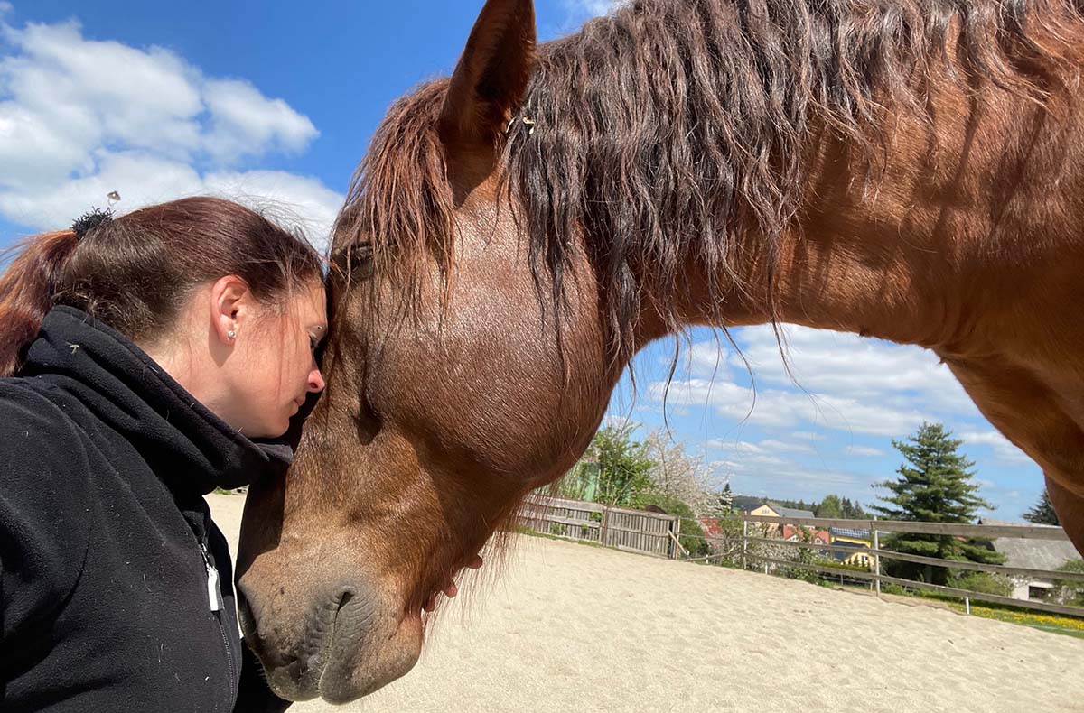 Spaziergang mit Pferden Grumbach