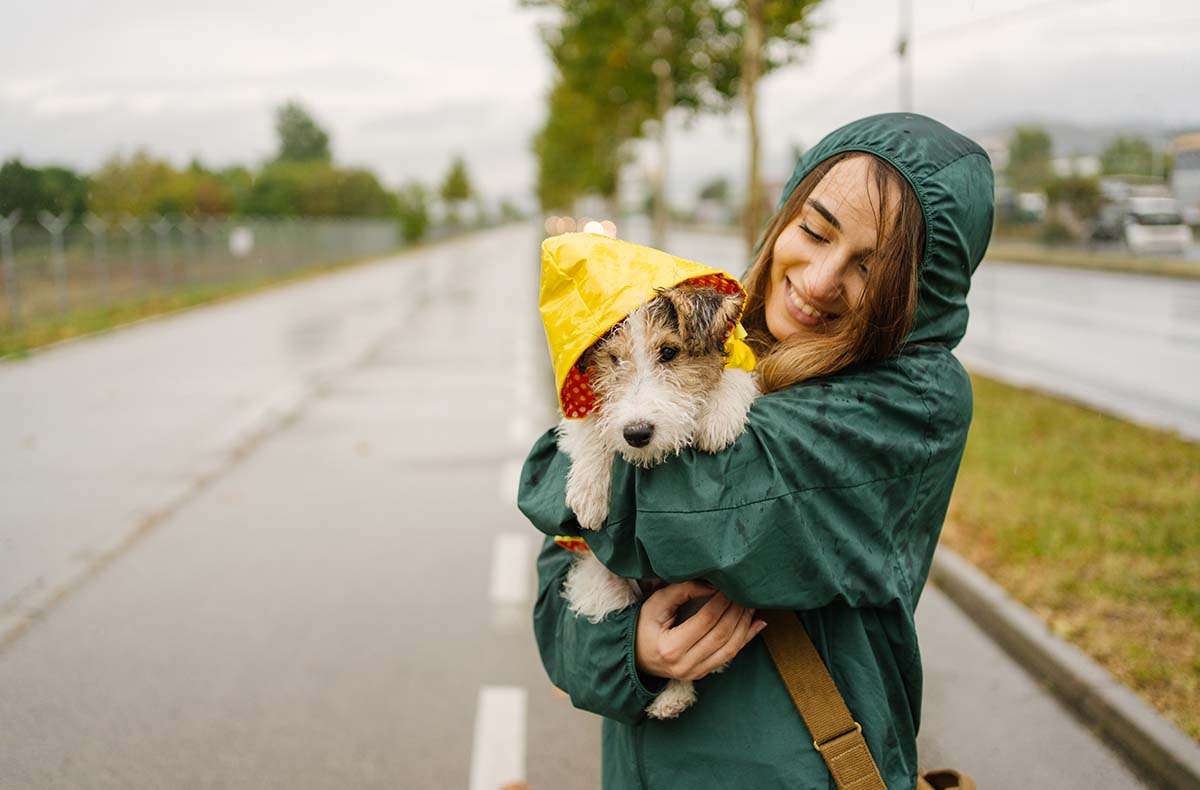 Städtetrip mit Hund Düsseldorf für 2 (1 Nacht)
