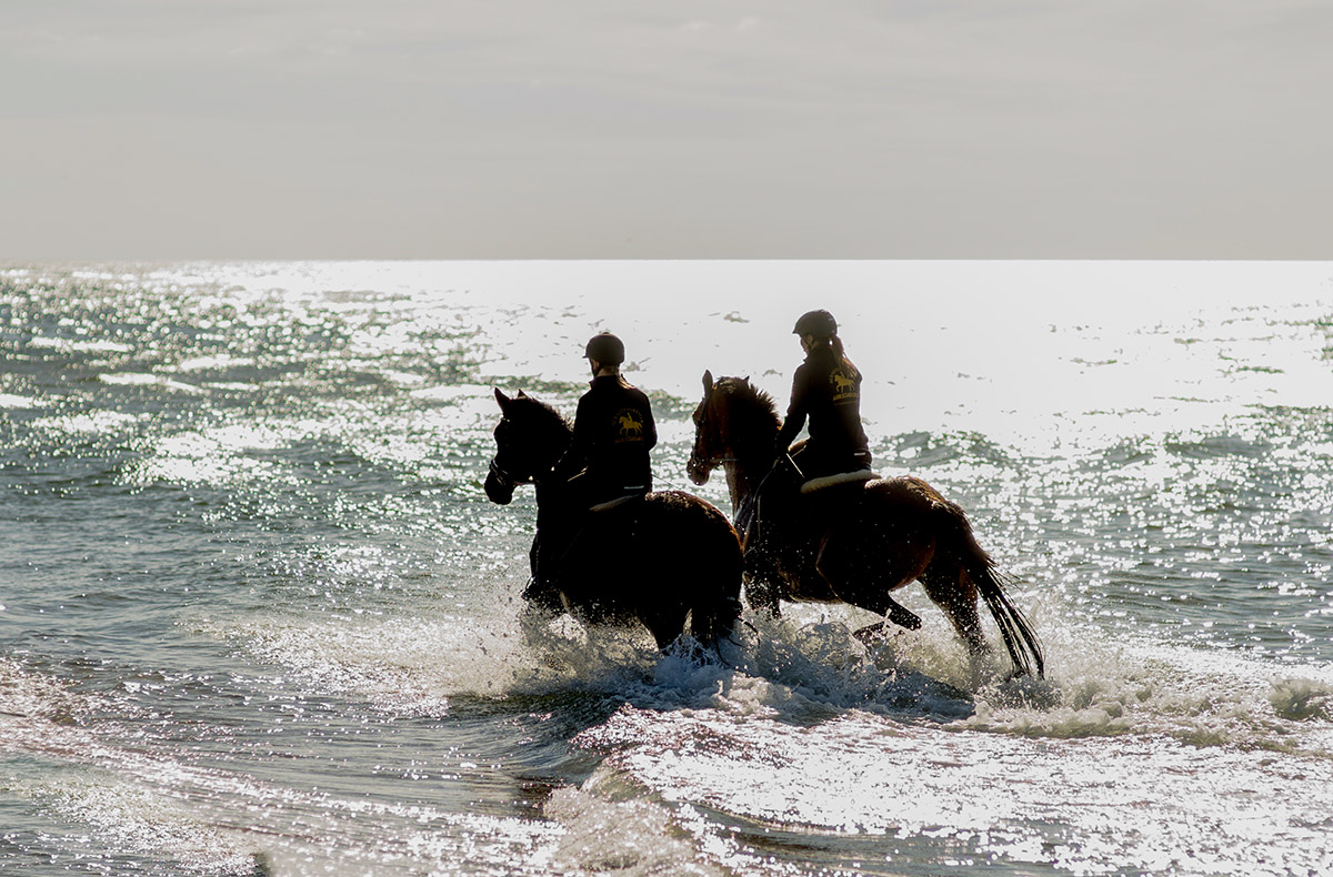 Strandritt Ostsee mit Probestunde Hirschburg (Mai - Sept.) Ribnitz-Damgarten