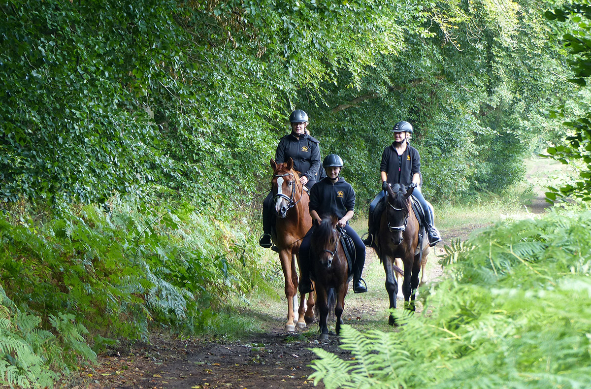Strandritt Ostsee mit Probestunde Hirschburg (Mai - Sept.) Ribnitz-Damgarten