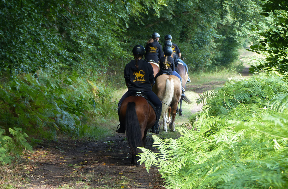 Strandritt Ostsee mit Probestunde Hirschburg (Mai - Sept.) Ribnitz-Damgarten