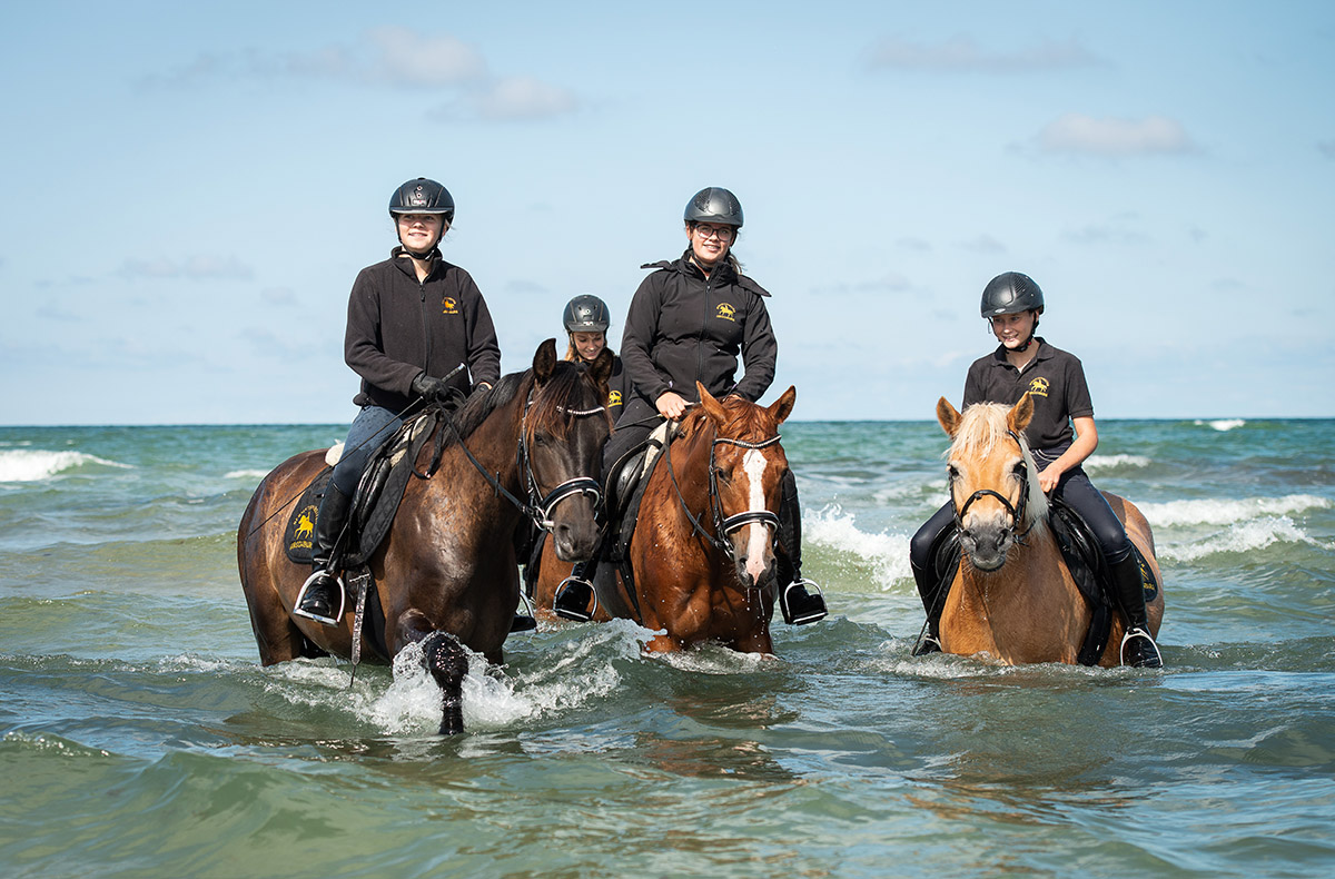 Strandritt Ostsee mit Probestunde Hirschburg (Okt. - Apr.) Ribnitz-Damgarten