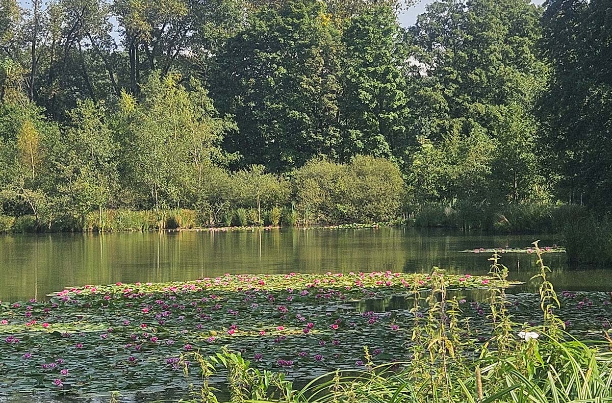 SUP Yoga für 2 Seck (Privatstunde)