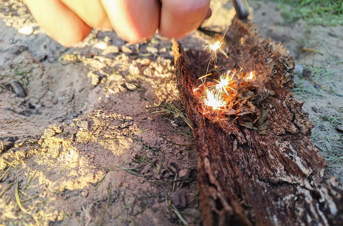 Survival Kurs Dettmannsdorf (Feuer und Schutz)