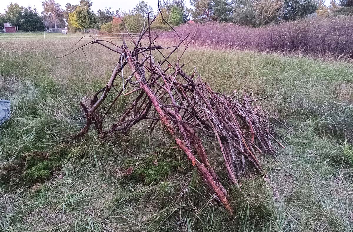 Survival Kurs Dettmannsdorf (Feuer und Schutz)