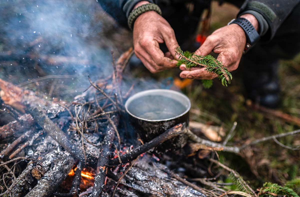 Survival Kurs Dettmannsdorf (Nahrung und Wasser) Survival Kurs Dettmannsdorf (Nahrung und Wasser)
