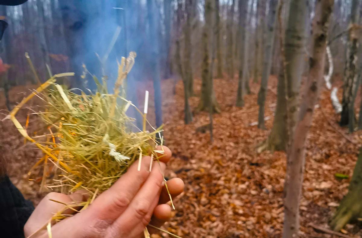 Survivalkurs Wernigerode