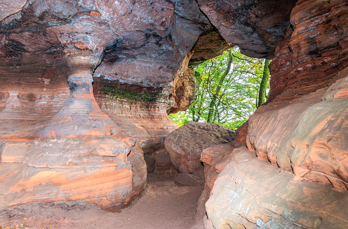 Tagestour mit Eseln Eppenbrunn - Entdecke Eppenbrunns Natur mit Eseln Tagestour mit Eseln Eppenbrunn - Entdecke Eppenbrunns Natur mit Eseln