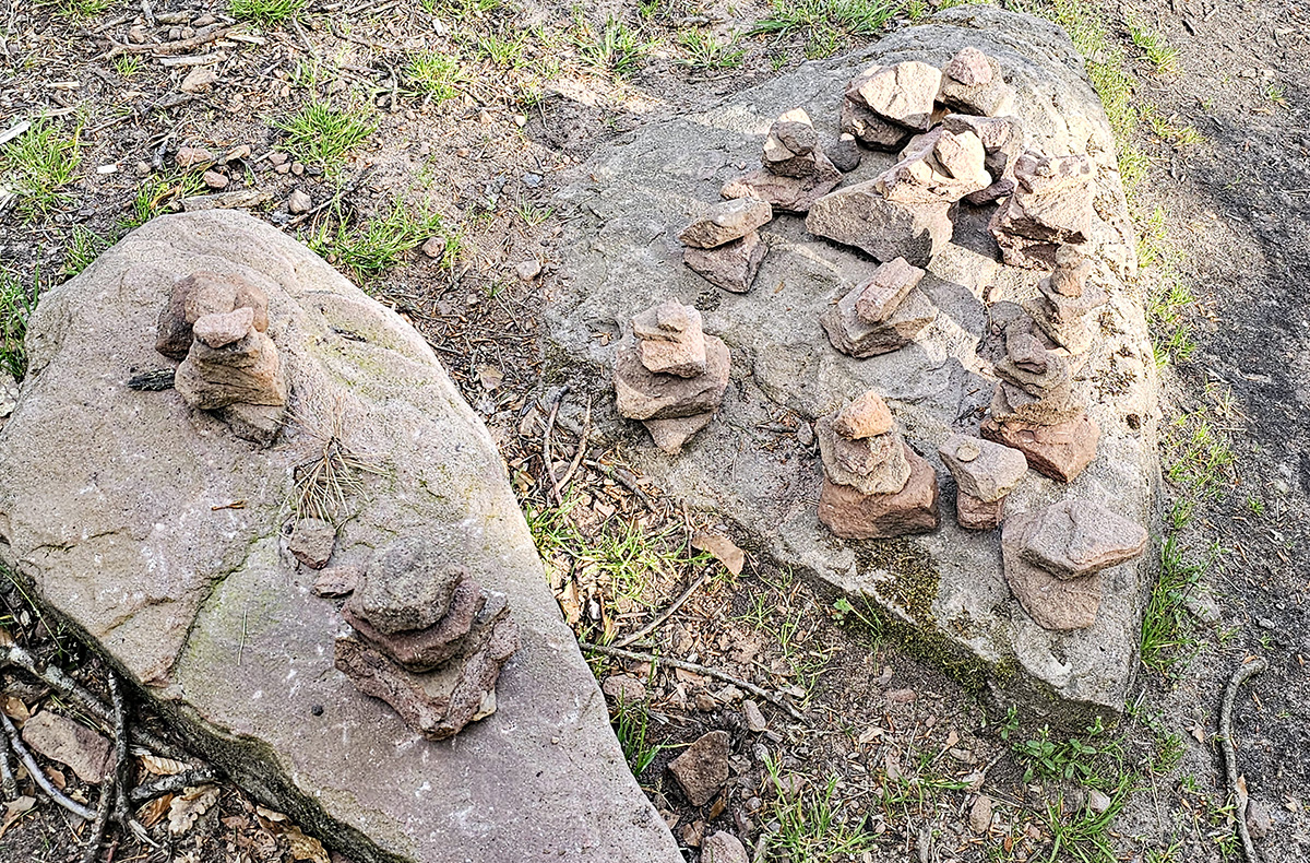 Tagestour mit Eseln Eppenbrunn - Entdecke Eppenbrunns Natur mit Eseln Tagestour mit Eseln Eppenbrunn - Entdecke Eppenbrunns Natur mit Eseln