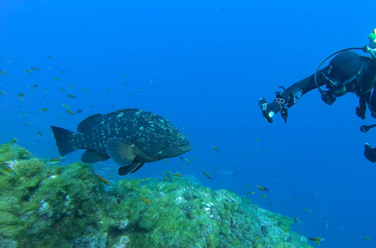 Tauchen mit Nitrox Wuppertal Tauchen mit Nitrox Wuppertal