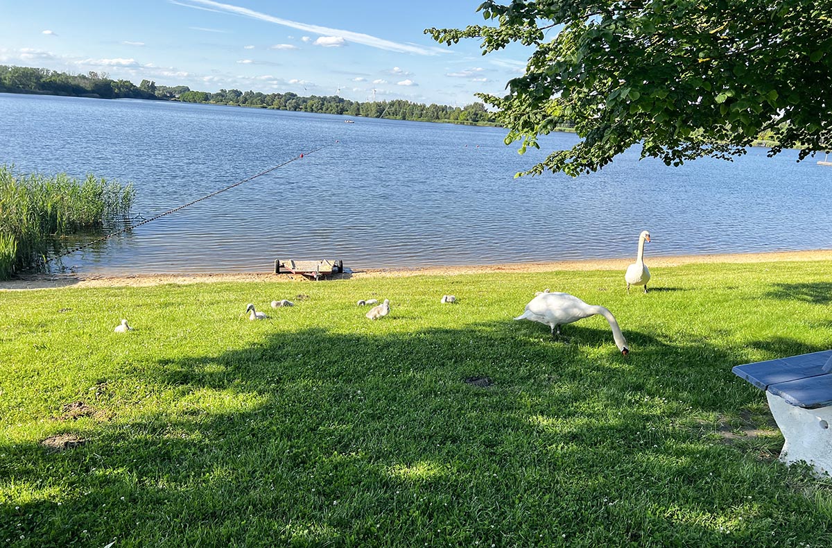 Tauchen Schnupperkurs Bitterfeld-Wolfen