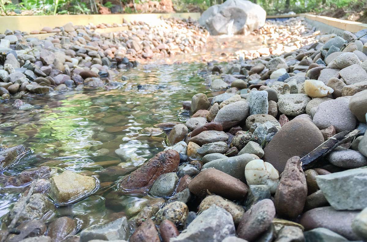 Außergewöhnlich Übernachten im Baumze...