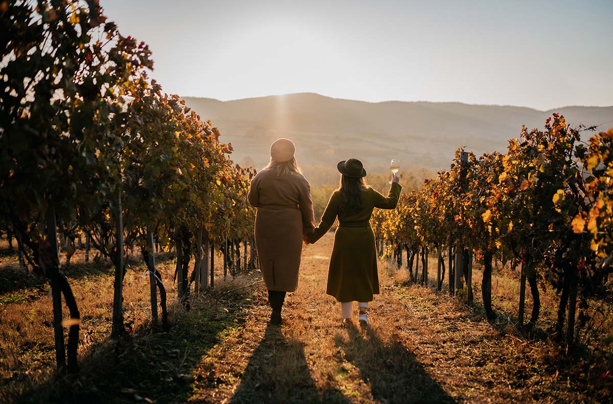 Vollmond Weinwanderung Schriesheim