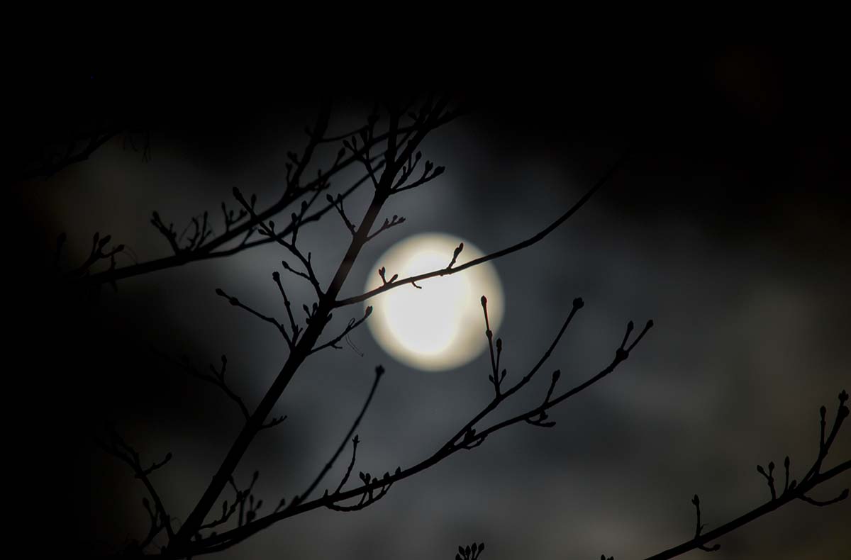 Vollmond Weinwanderung Schriesheim – Vollmondzauber zwischen Reben und Wein