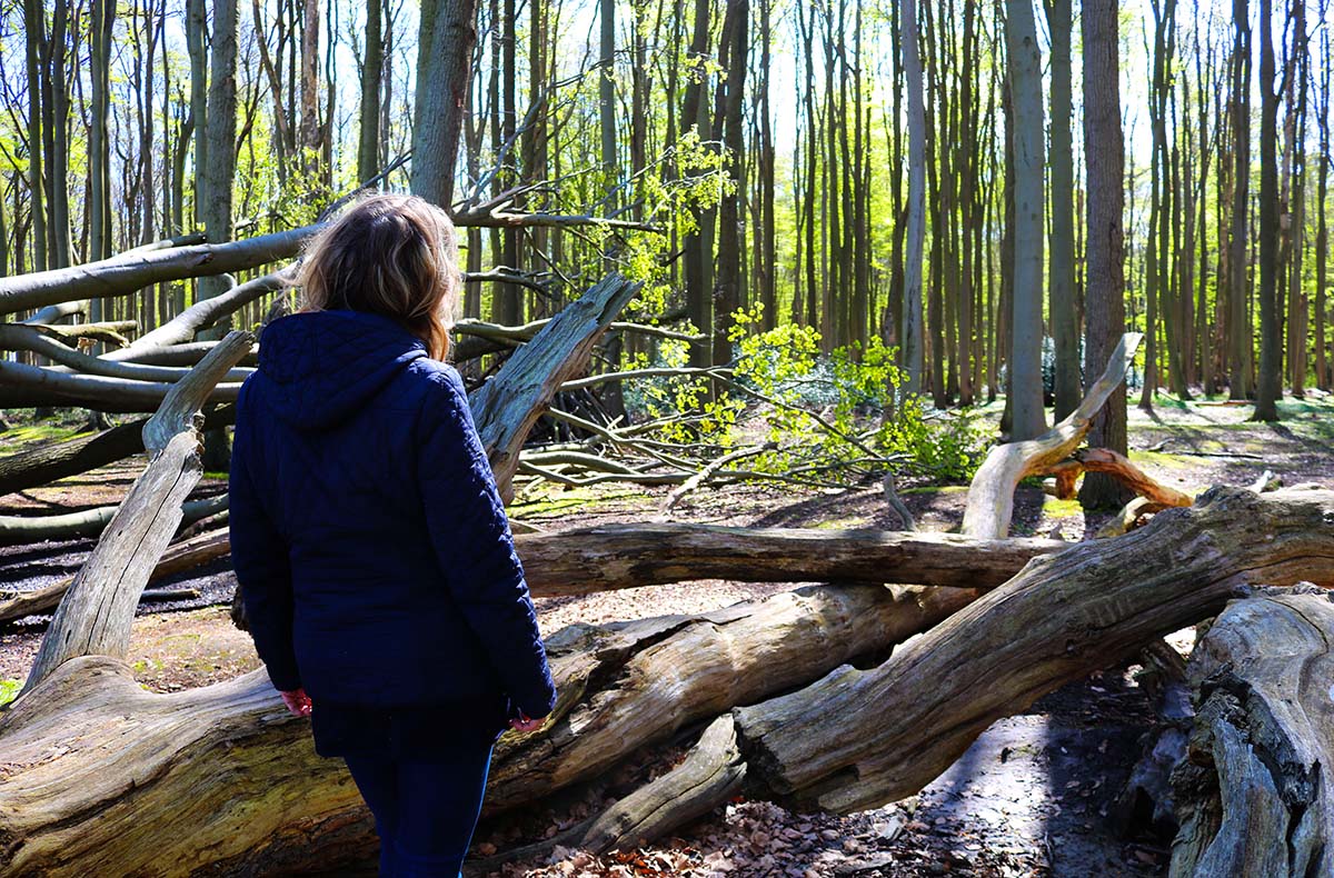 Waldbaden Nienhagen  Waldbaden Nienhagen
